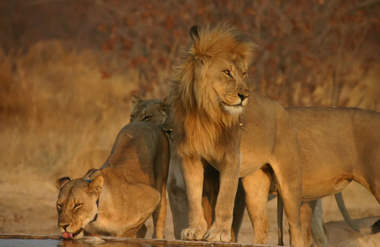 Namíbia Luxo by Wilderness